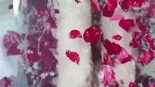 探花精选系列之太子探花良家妇女叫太子快点