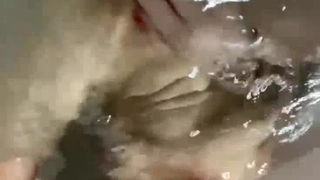 继母口交