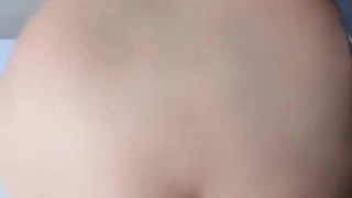陪小月看烟花_二月二十三号